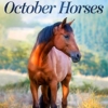 The October Horses - Image 3