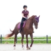 HORZE Blaire Women's Short Sleeved Nanotex Equestrian Riding Competition Show Shirt with UPF 30+ UV Protection… - Image 5