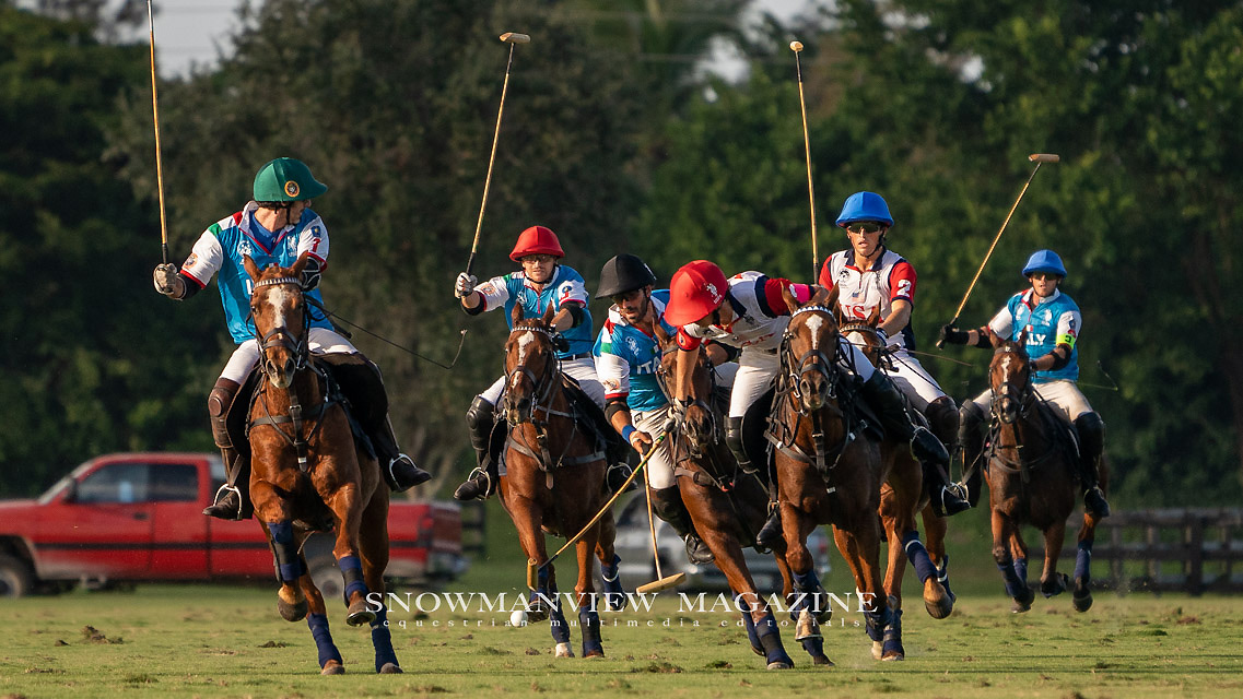 XII FIP World Polo Championship